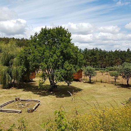 Hotel Quinta Portugo Cernache do Bonjardim Zewnętrze zdjęcie