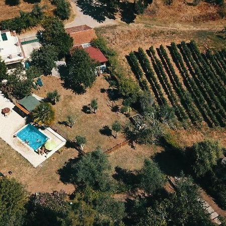 Hotel Quinta Portugo Cernache do Bonjardim Zewnętrze zdjęcie