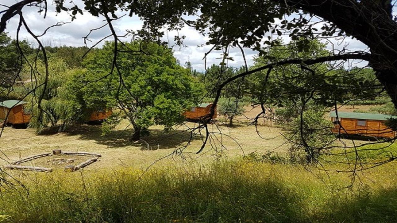 Hotel Quinta Portugo Cernache do Bonjardim Zewnętrze zdjęcie