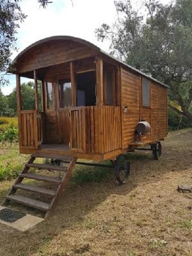 Hotel Quinta Portugo Cernache do Bonjardim Zewnętrze zdjęcie