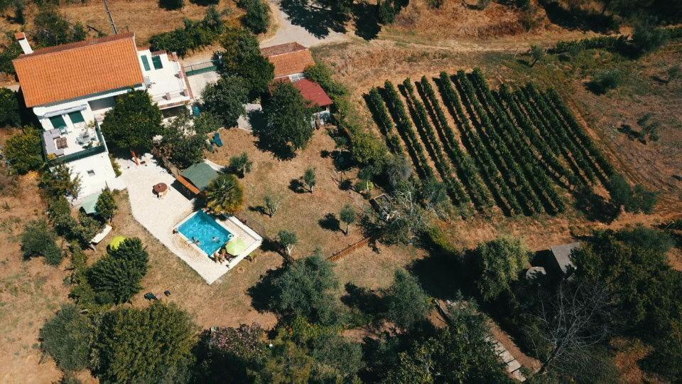 Hotel Quinta Portugo Cernache do Bonjardim Zewnętrze zdjęcie